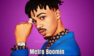 Metro Boomin Net Worth